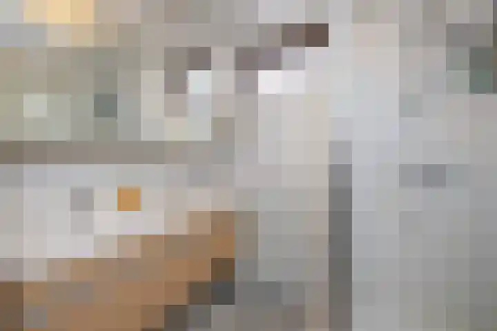 Gouwestraat 7 Ridderkerk thumbnail 16