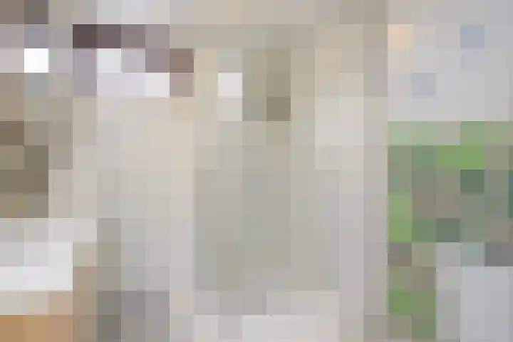 Gouwestraat 7 Ridderkerk thumbnail 17