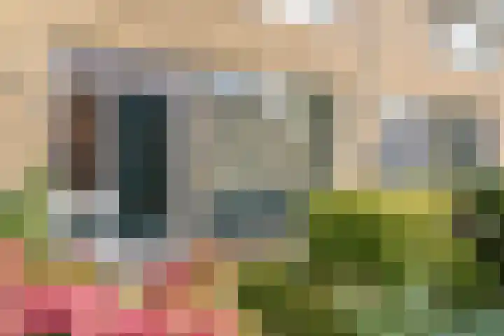 Gouwestraat 7 Ridderkerk thumbnail 24