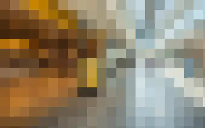 Gouwestraat 7 Ridderkerk thumbnail 33