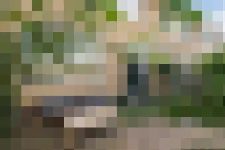 Gouwestraat 7 Ridderkerk thumbnail 9