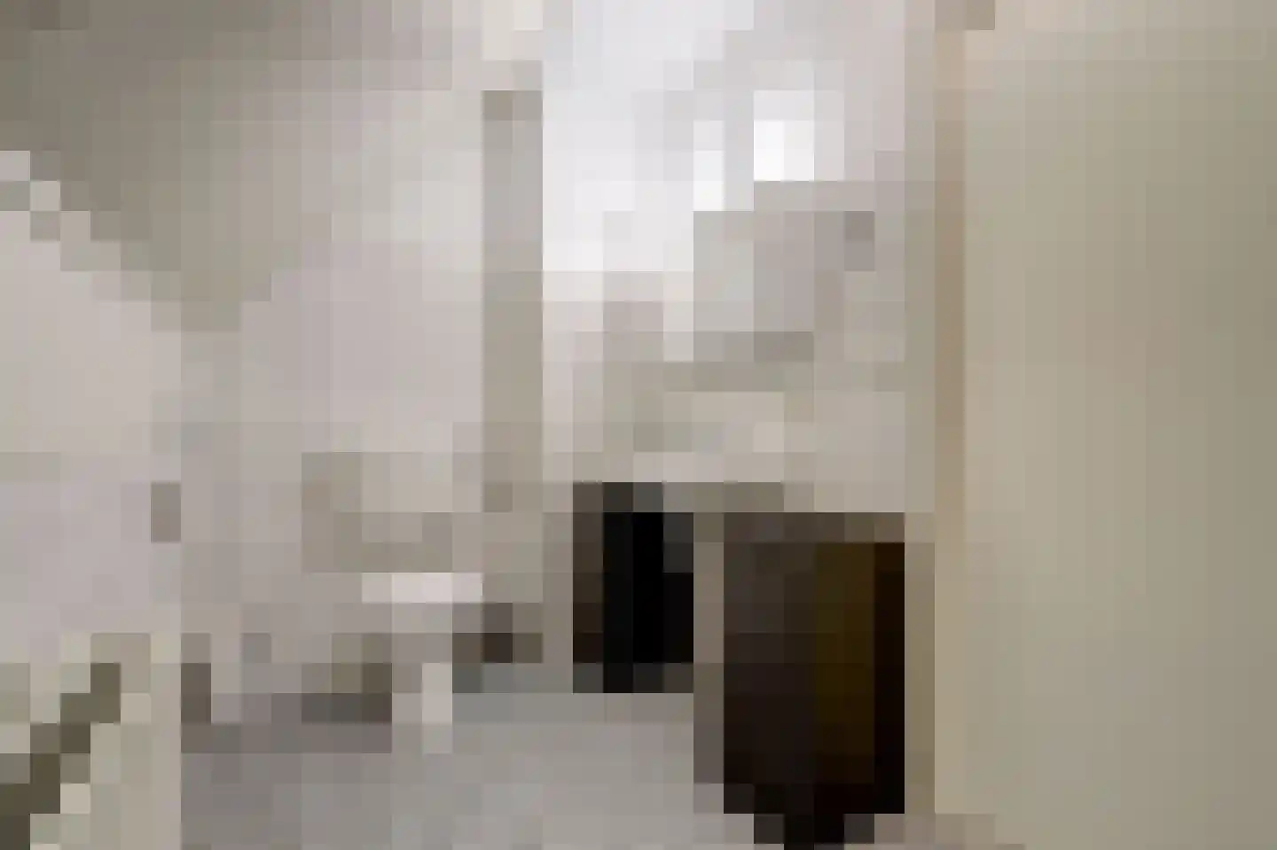 Gouwestraat 8 Apeldoorn thumbnail 21