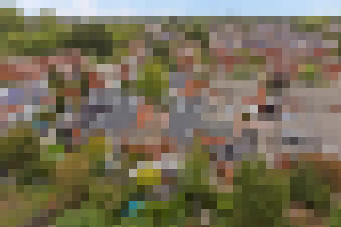 Gouwestraat 8 Apeldoorn thumbnail 21