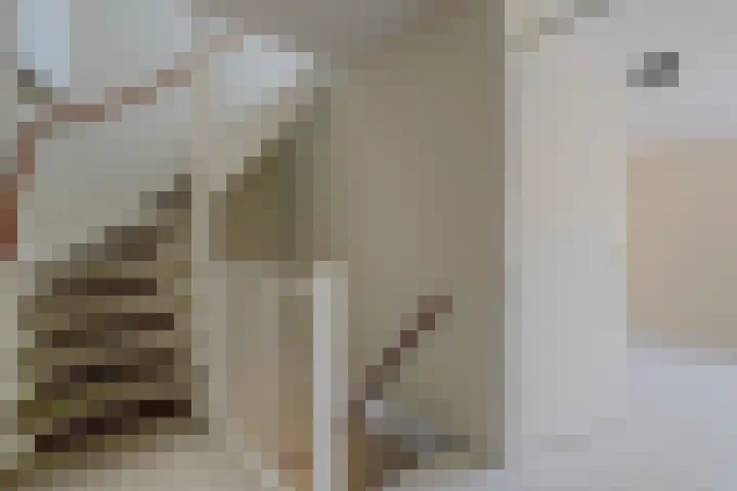 Gouwestraat 8 Apeldoorn thumbnail 33