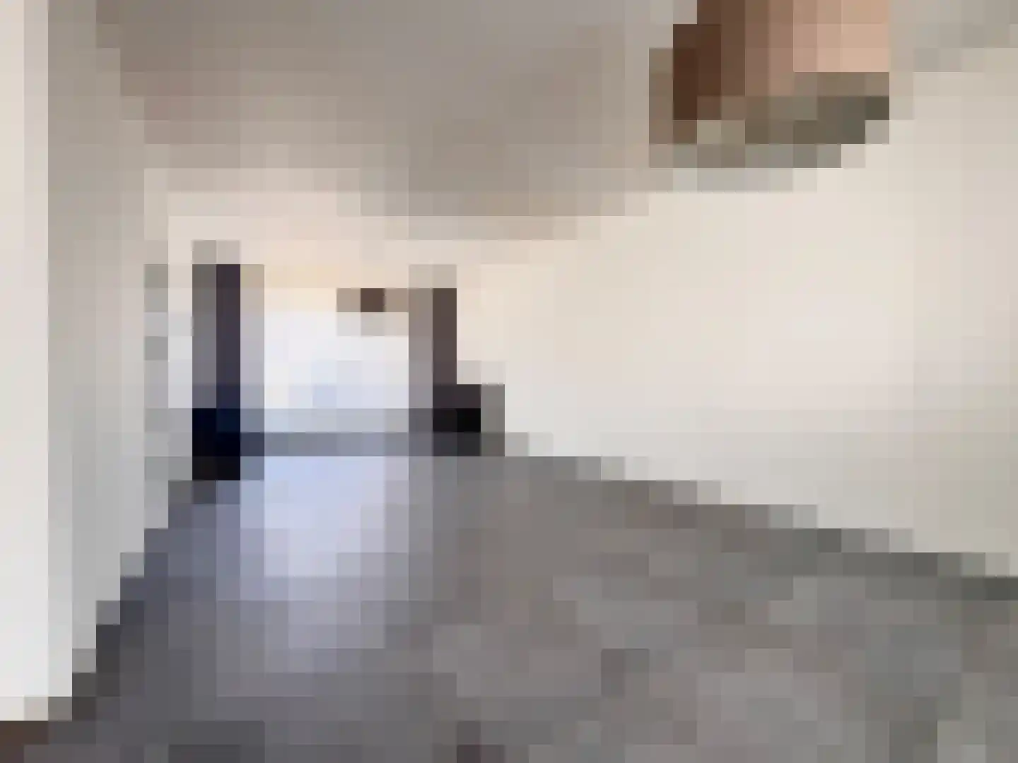 Gouwestraat 96 Terneuzen thumbnail 4