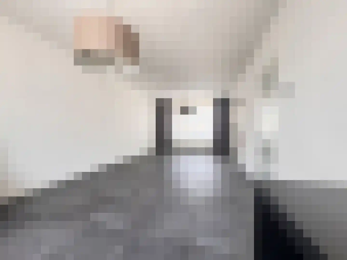 Gouwestraat 96 Terneuzen thumbnail 6