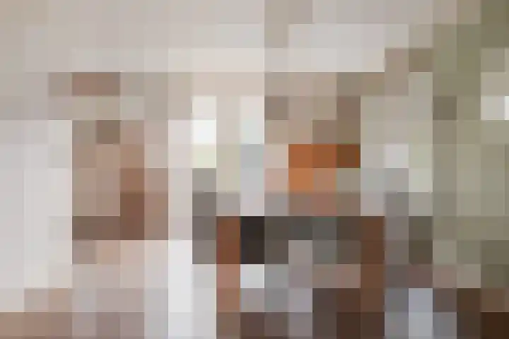Gouwkamp 22 Berkhout thumbnail 10