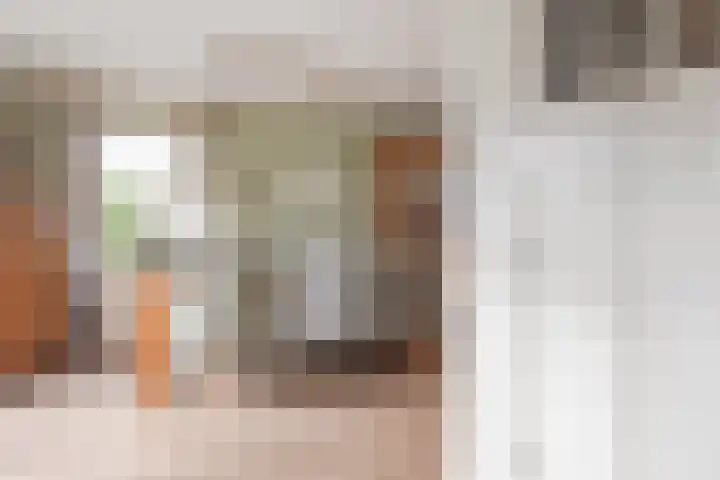 Gouwkamp 22 Berkhout thumbnail 15