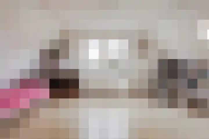 Gouwkamp 22 Berkhout thumbnail 31