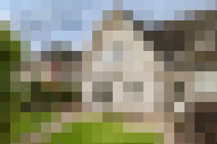 Gouwkamp 22 Berkhout thumbnail 37