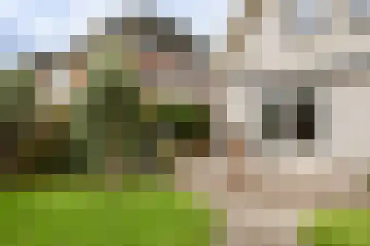Gouwkamp 22 Berkhout thumbnail 38