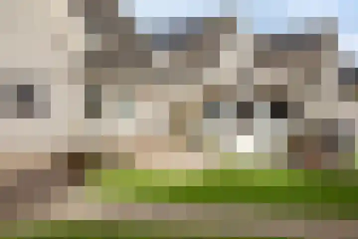 Gouwkamp 22 Berkhout thumbnail 39