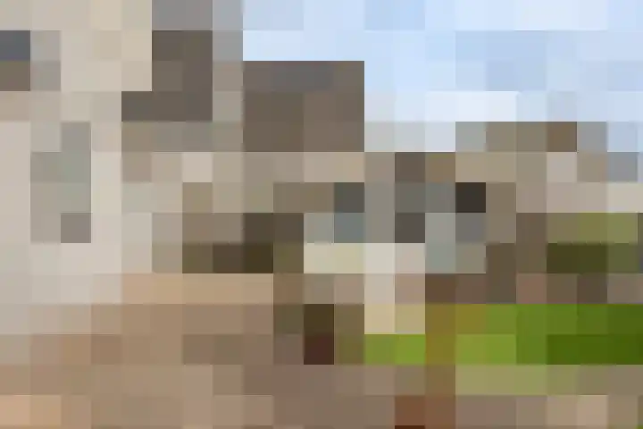 Gouwkamp 22 Berkhout thumbnail 40
