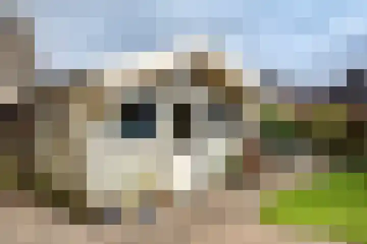 Gouwkamp 22 Berkhout thumbnail 42