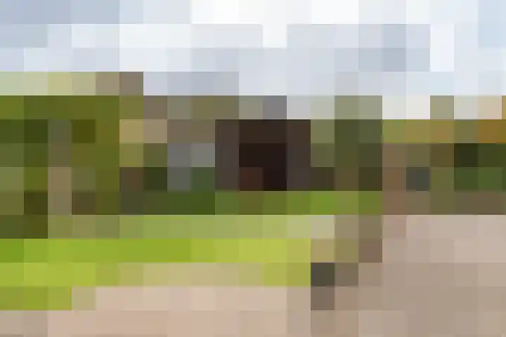 Gouwkamp 22 Berkhout thumbnail 43
