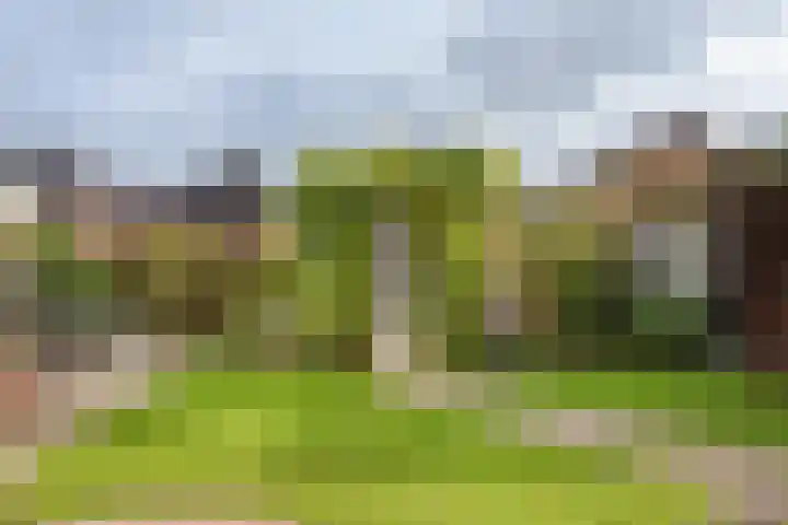 Gouwkamp 22 Berkhout thumbnail 45