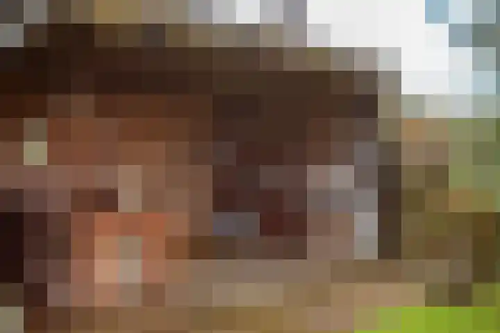 Gouwkamp 22 Berkhout thumbnail 47
