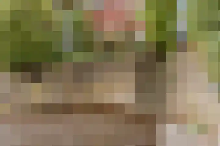 Gouwkamp 22 Berkhout thumbnail 48