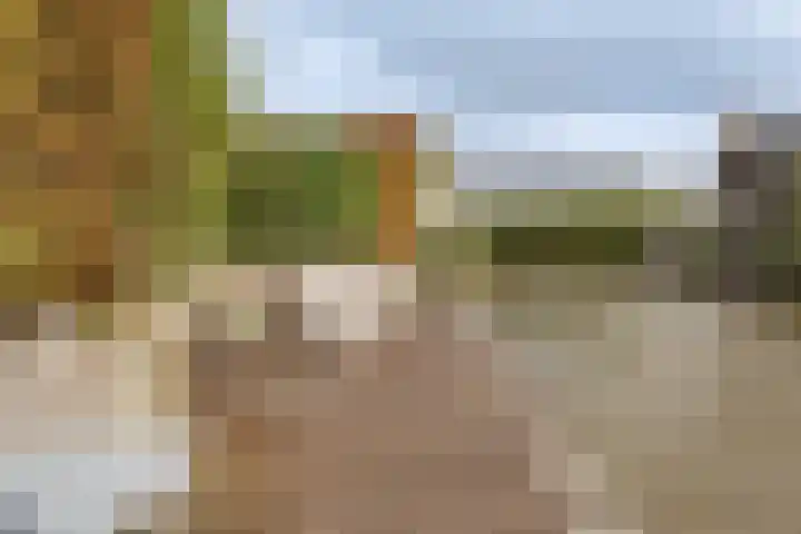 Gouwkamp 22 Berkhout thumbnail 49
