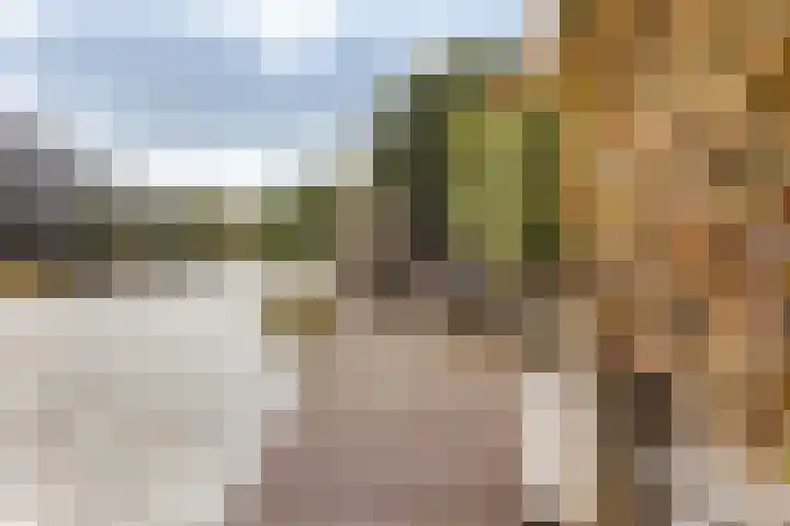 Gouwkamp 22 Berkhout thumbnail 50