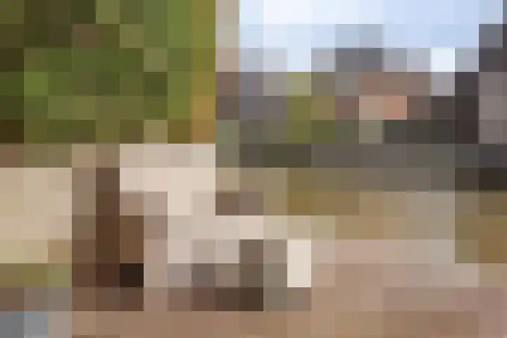 Gouwkamp 22 Berkhout thumbnail 51