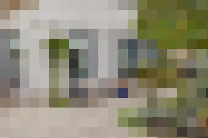 Gouwkamp 22 Berkhout thumbnail 52
