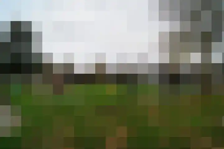 Gouwkamp 22 Berkhout thumbnail 56