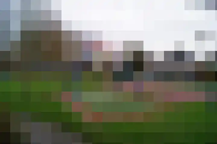 Gouwkamp 22 Berkhout thumbnail 57