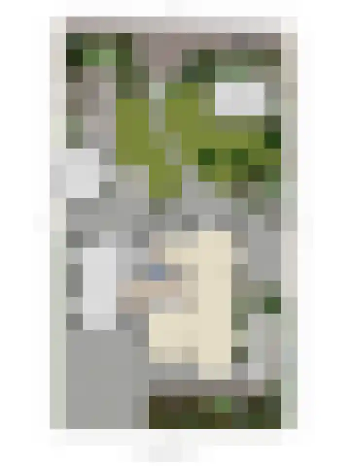 Gouwkamp 22 Berkhout thumbnail 58
