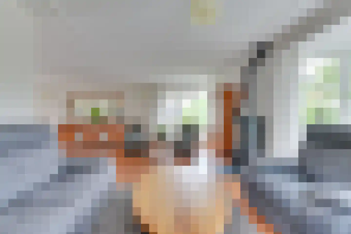 Gouwkamp 24 Berkhout thumbnail 10