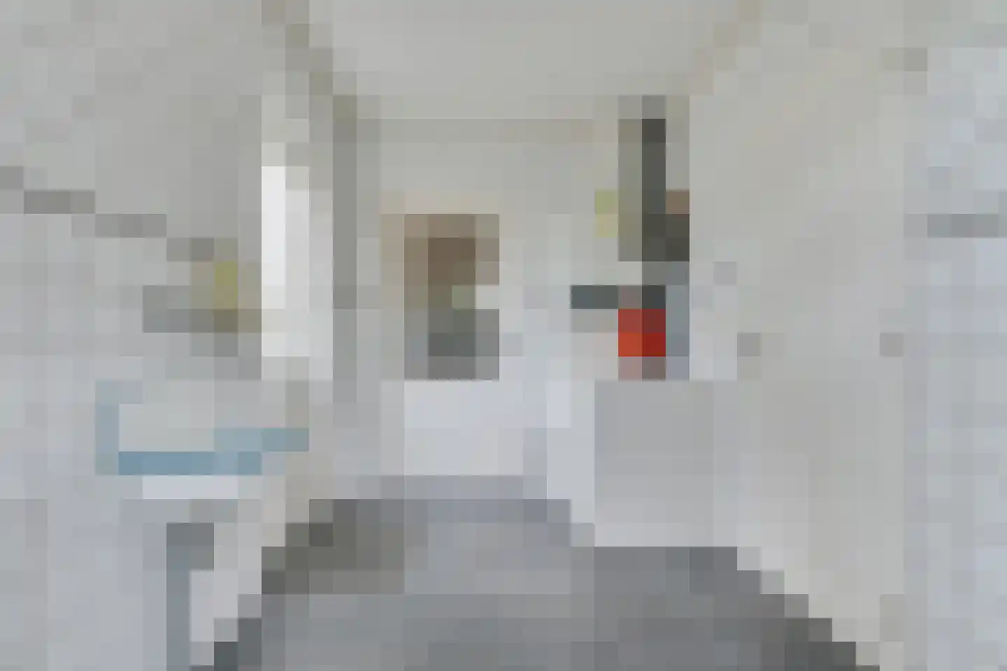 Gouwkamp 24 Berkhout thumbnail 19