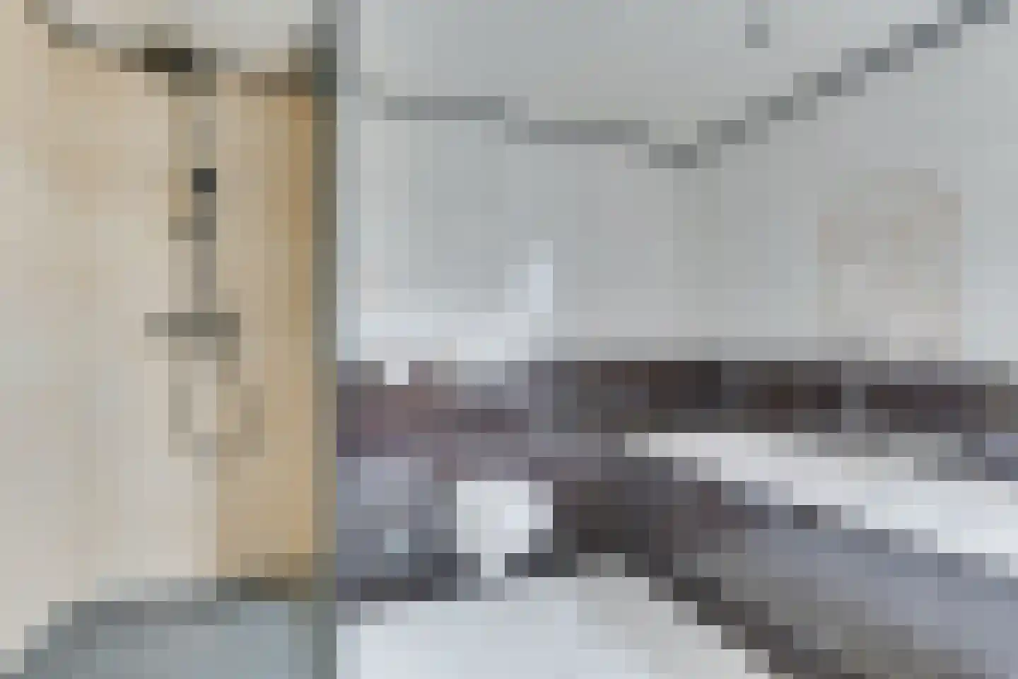 Gouwkamp 24 Berkhout thumbnail 28
