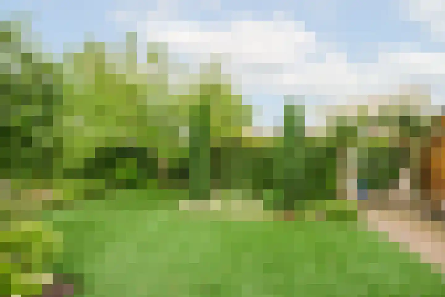 Gouwkamp 24 Berkhout thumbnail 38