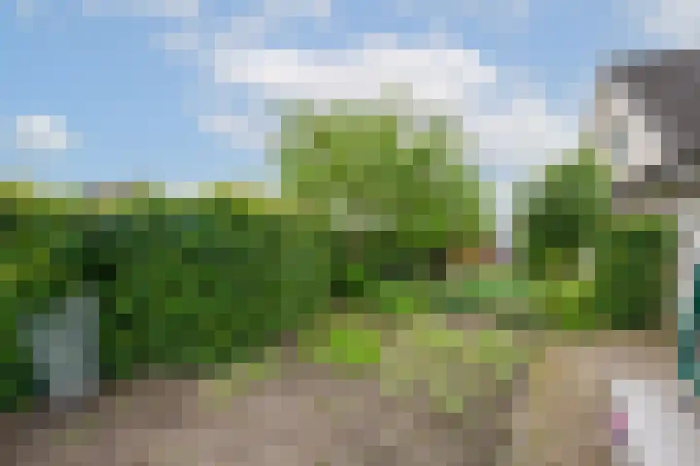 Gouwkamp 24 Berkhout thumbnail 41