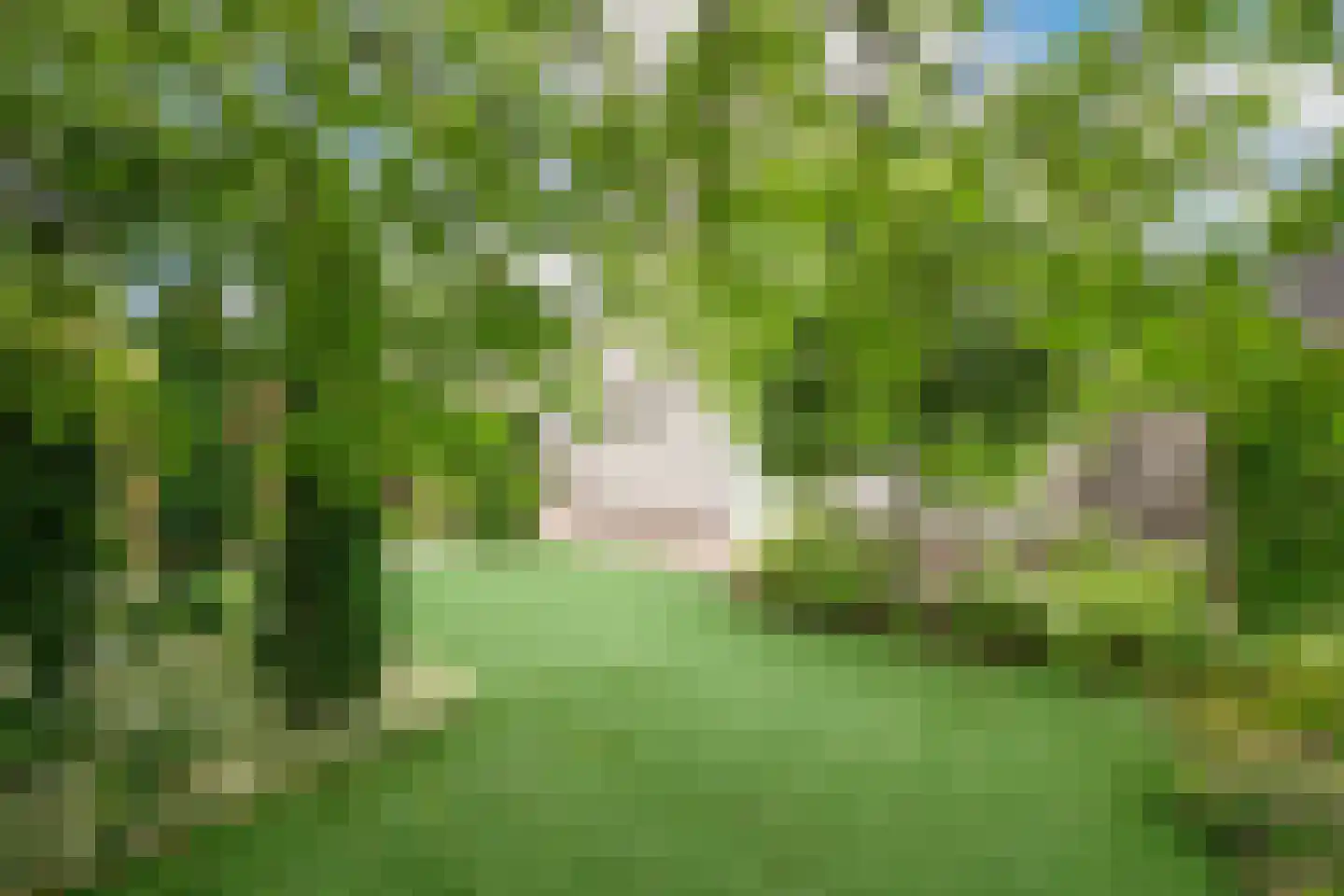 Gouwkamp 24 Berkhout thumbnail 42