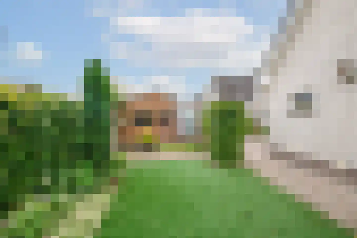 Gouwkamp 24 Berkhout thumbnail 43