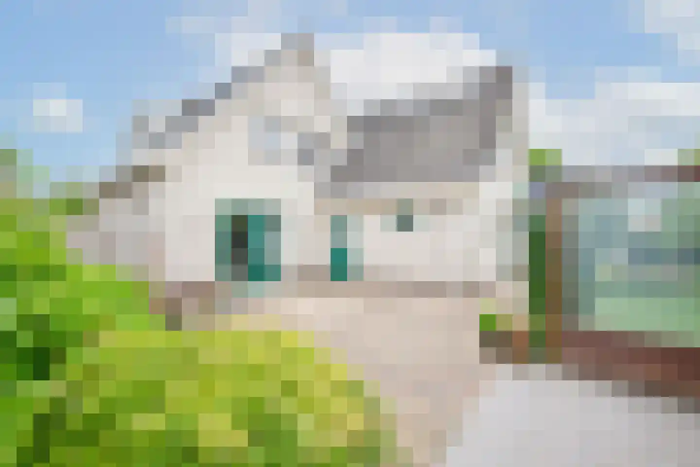 Gouwkamp 24 Berkhout thumbnail 45