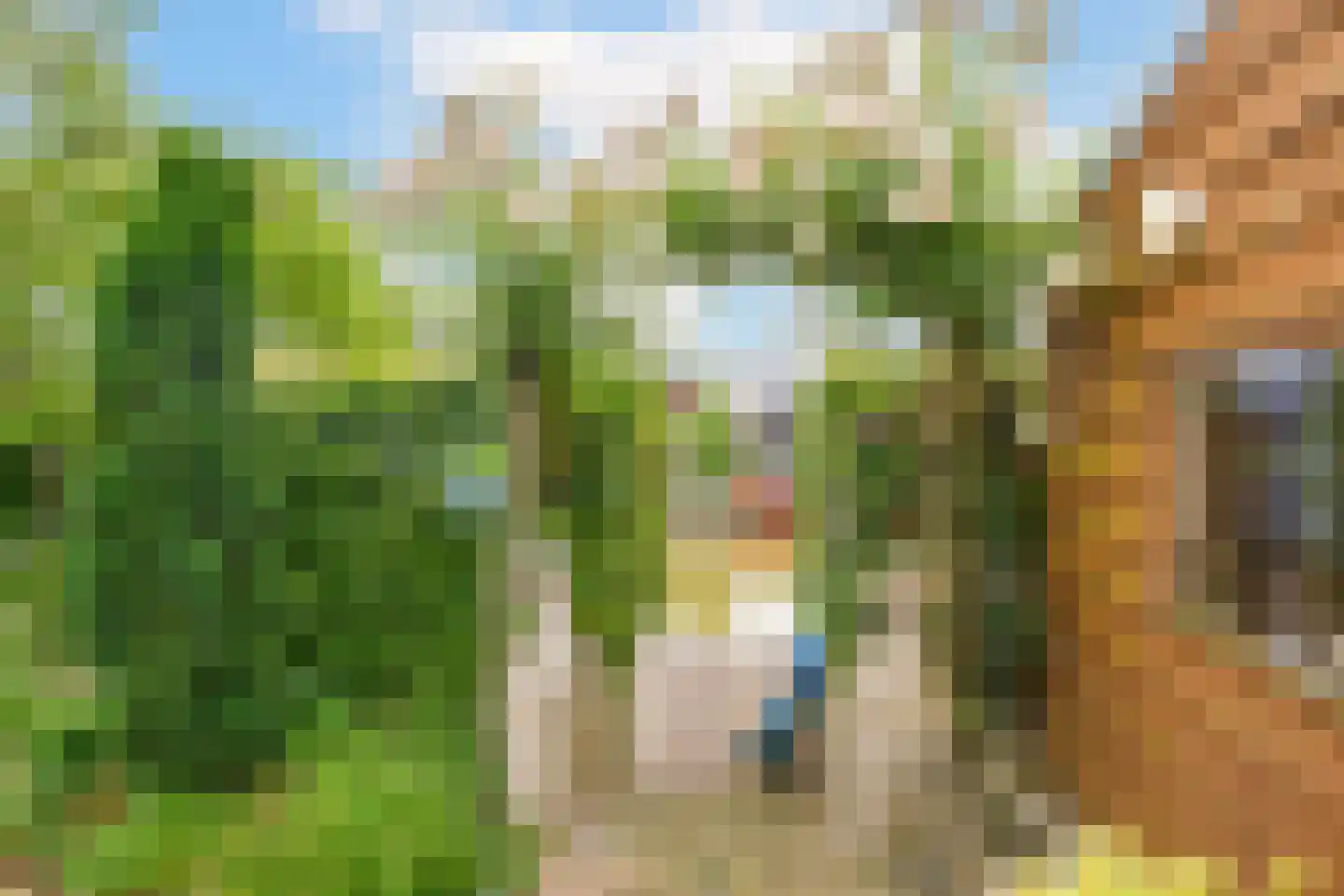 Gouwkamp 24 Berkhout thumbnail 46
