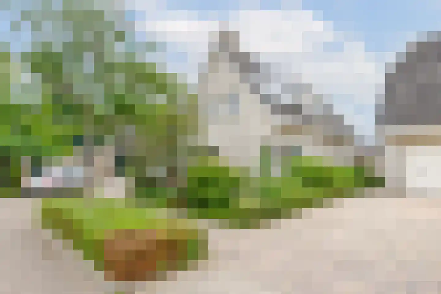 Gouwkamp 24 Berkhout thumbnail 50