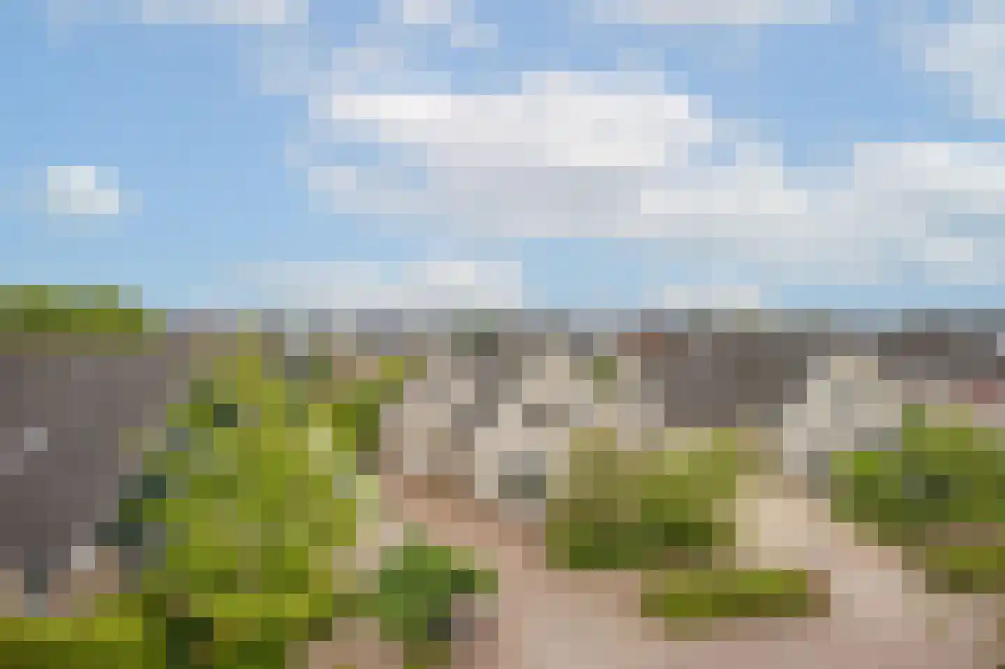 Gouwkamp 24 Berkhout thumbnail 51