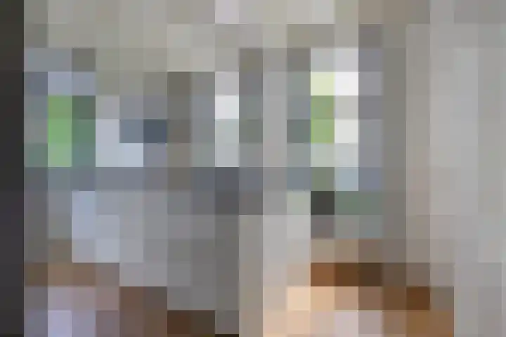Gouwkamp 34 Berkhout thumbnail 11