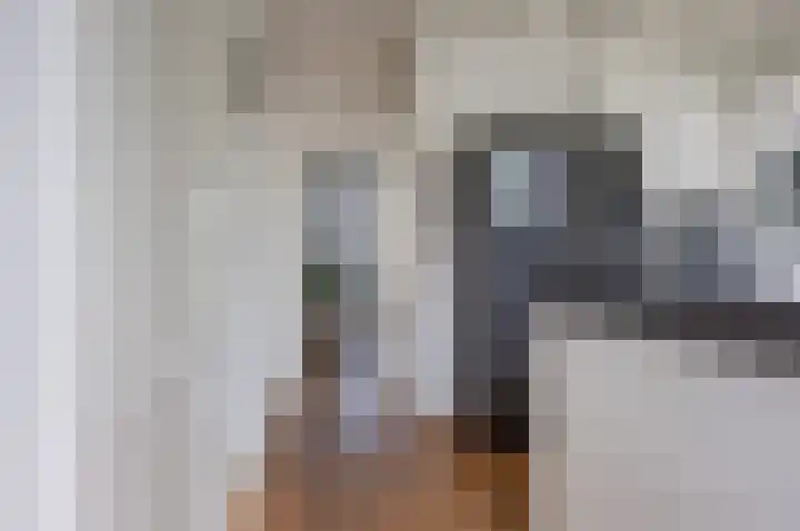 Gouwkamp 34 Berkhout thumbnail 14