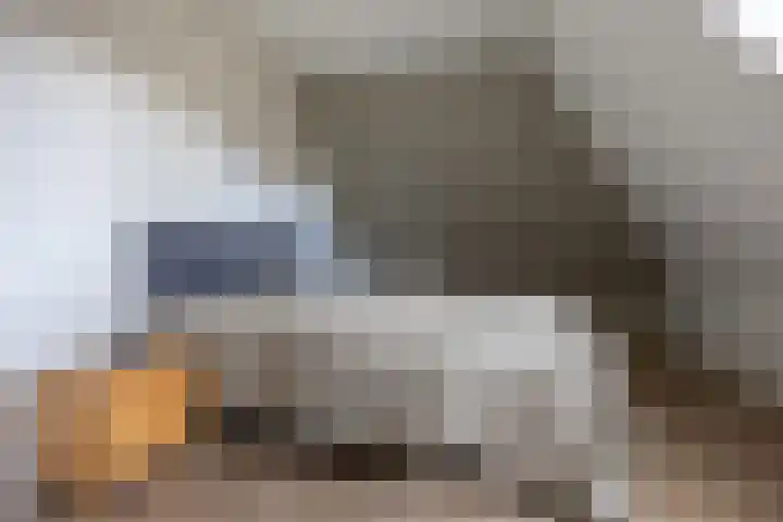 Gouwkamp 34 Berkhout thumbnail 20