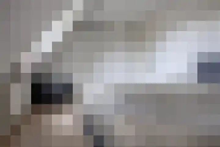 Gouwkamp 34 Berkhout thumbnail 21