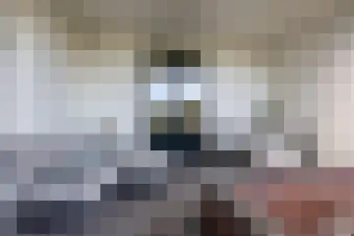 Gouwkamp 34 Berkhout thumbnail 30