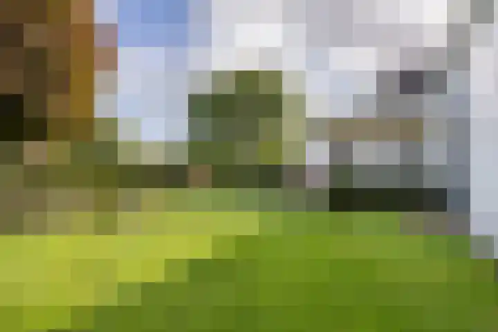 Gouwkamp 34 Berkhout thumbnail 31