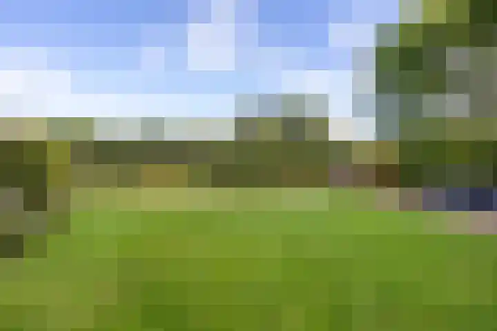 Gouwkamp 34 Berkhout thumbnail 32