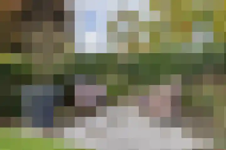 Gouwkamp 34 Berkhout thumbnail 33