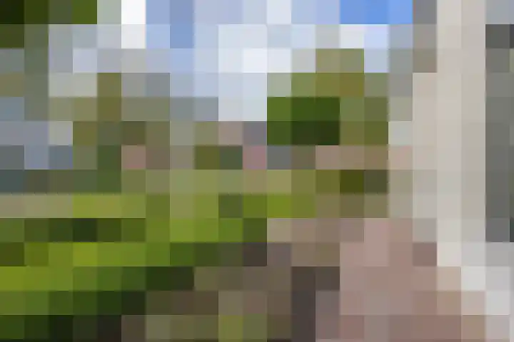 Gouwkamp 34 Berkhout thumbnail 34