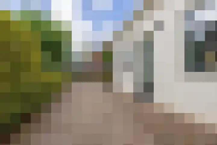 Gouwkamp 34 Berkhout thumbnail 38